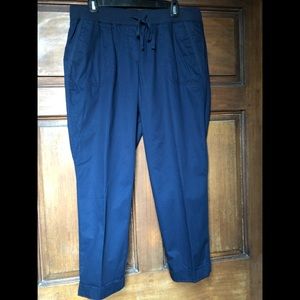 Talbots Navy Pants